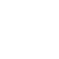 Google Icon White